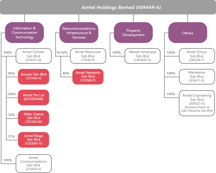 Group Structure – Amtel